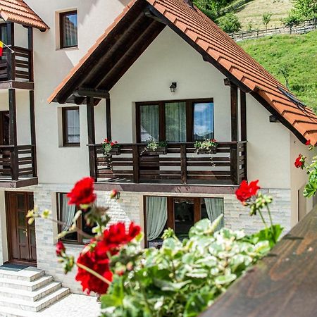 Pensiunea Poienita Albac Exterior photo