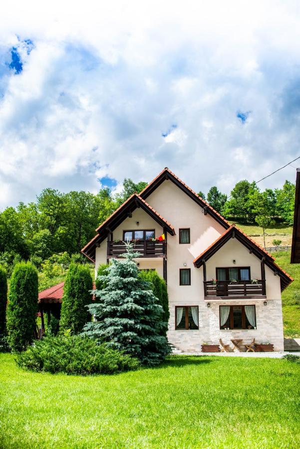 Pensiunea Poienita Albac Exterior photo