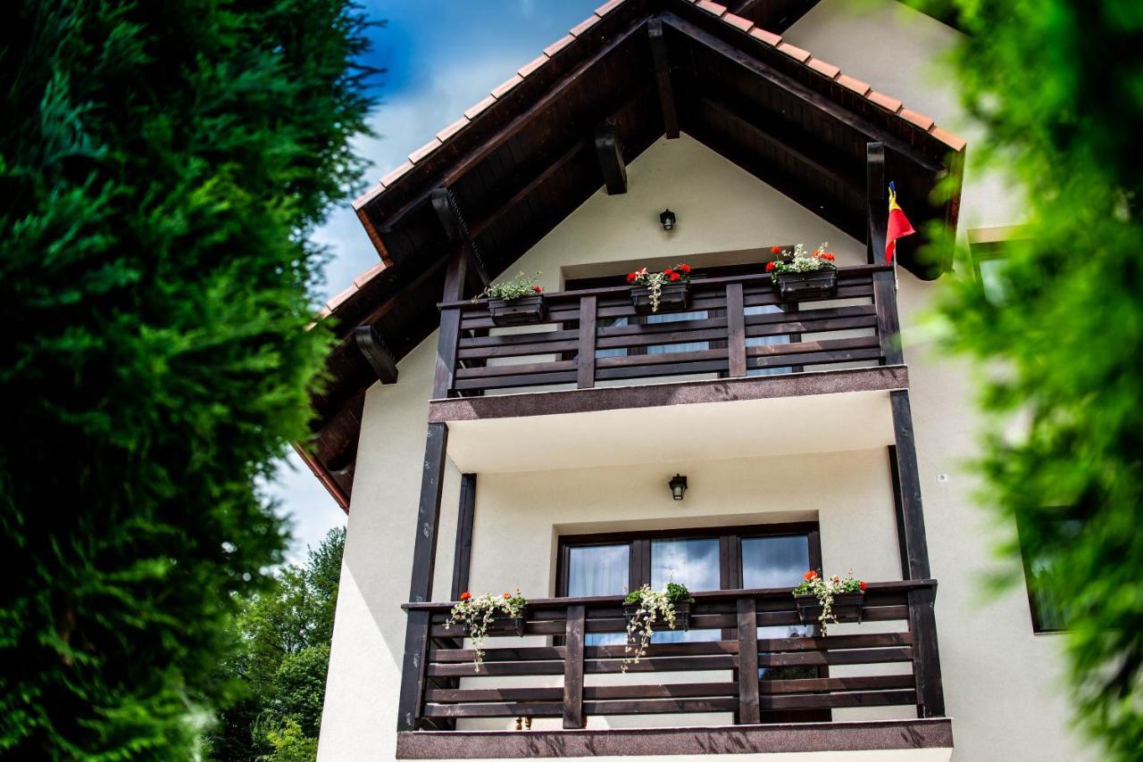 Pensiunea Poienita Albac Exterior photo