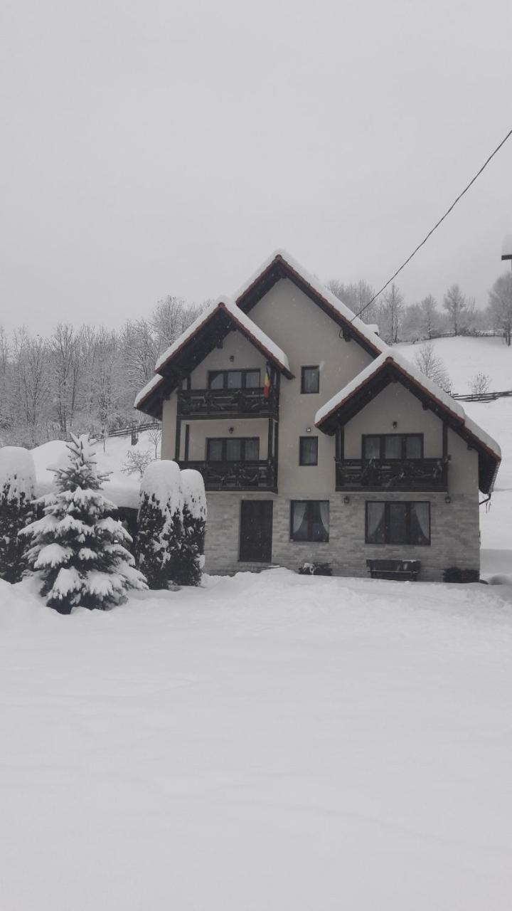 Pensiunea Poienita Albac Exterior photo